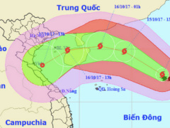 Ảnh bìa bài viết 489735