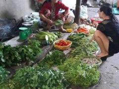 Ảnh bìa bài viết 489700