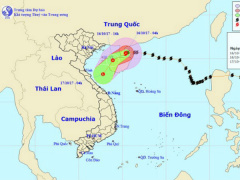 Ảnh bìa bài viết 490004