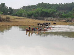 Ảnh bìa bài viết 490057