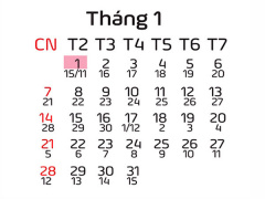 Ảnh bìa bài viết 489945
