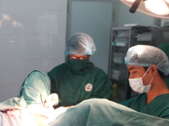 Ảnh bìa bài viết 490346