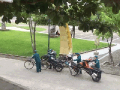 Ảnh bìa bài viết 490327