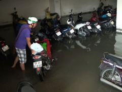 Ảnh bìa bài viết 490470