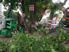 Ảnh bìa bài viết 490512