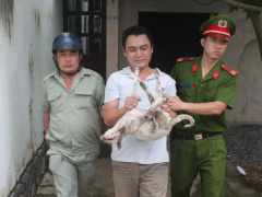 Ảnh bìa bài viết 490408