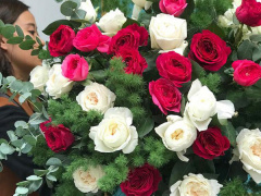 Ảnh bìa bài viết 491065