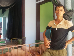 Ảnh bìa bài viết 491010