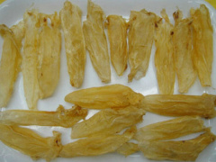 Ảnh bìa bài viết 491214