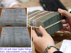 Ảnh bìa bài viết 491166