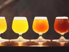 Ảnh bìa bài viết 491351