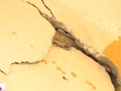 Ảnh bìa bài viết 491341