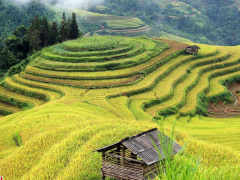 Ảnh bìa bài viết 491303