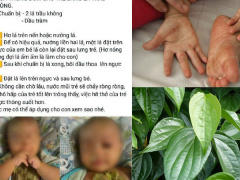 Ảnh bìa bài viết 491536