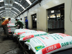 Ảnh bìa bài viết 491561