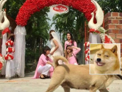 Ảnh bìa bài viết 491578