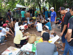 Ảnh bìa bài viết 491525