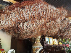 Ảnh bìa bài viết 637757