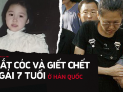 Ảnh bìa bài viết 637810