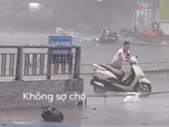 Ảnh bìa bài viết 638023