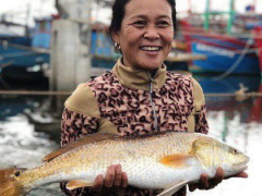 Ảnh bìa bài viết 638114