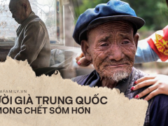 Ảnh bìa bài viết 637975