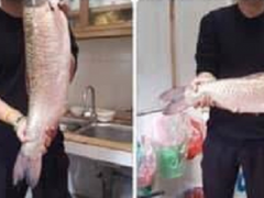 Ảnh bìa bài viết 638025