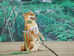 Ảnh bìa bài viết 638399