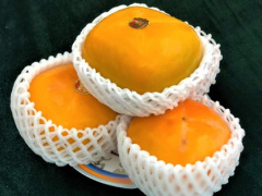 Ảnh bìa bài viết 638391