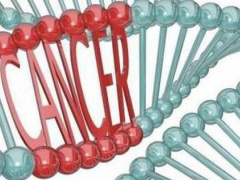 Ảnh bìa bài viết 638480