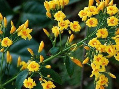 Ảnh bìa bài viết 638651