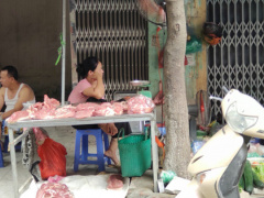 Ảnh bìa bài viết 639190