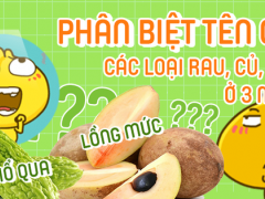 Ảnh bìa bài viết 639315