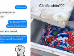 Ảnh bìa bài viết 639351