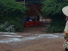 Ảnh bìa bài viết 639922