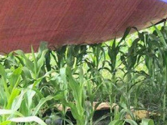 Ảnh bìa bài viết 639952