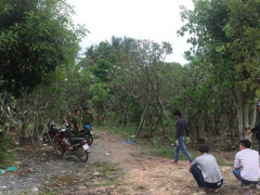Ảnh bìa bài viết 640296