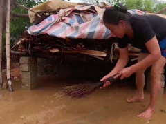 Ảnh bìa bài viết 640644