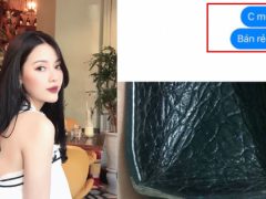 Ảnh bìa bài viết 640859