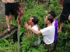 Ảnh bìa bài viết 641500