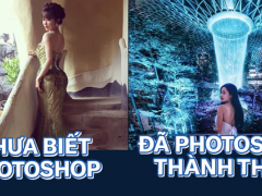 Ảnh bìa bài viết 641822