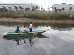Ảnh bìa bài viết 641881