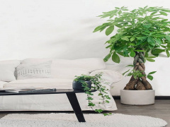 Ảnh bìa bài viết 641912