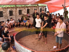 Ảnh bìa bài viết 642341