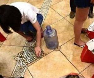 Khách kéo cả xe tải tiền xu đi mua nhà, văn phòng bất động sản phải huy động tới 26 nhân viên ngồi đếm tới khuya mới xong
