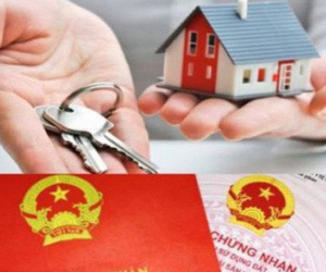 Núp bóng người Việt, người Trung Quốc thâu tóm 'đất đẹp' tại Việt Nam
