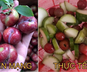 Mua mận online 40k bị 'độn' toàn bầu bí, cô gái sốc khi người bán phản hồi: 'Thật thà ăn cháo láo nháo ăn cơm, nghe thấy bao giờ chưa?'
