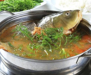 Ăn lẩu cá, người phụ nữ Quảng Ninh bị thủng ruột
