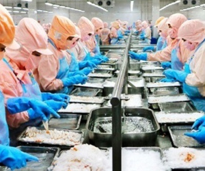'Vua tôm' Minh Phú gặp nghi vấn tránh thuế chống bán phá giá ở Mỹ