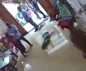 Vụ nhóm côn đồ đánh phụ nữ dã man: Phó giám đốc công an tỉnh chỉ đạo nóng